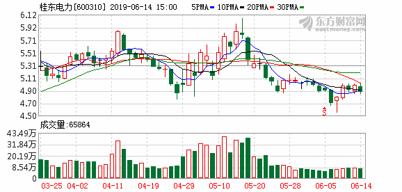 桂东电力最新消息,桂东电力最新消息全面解读