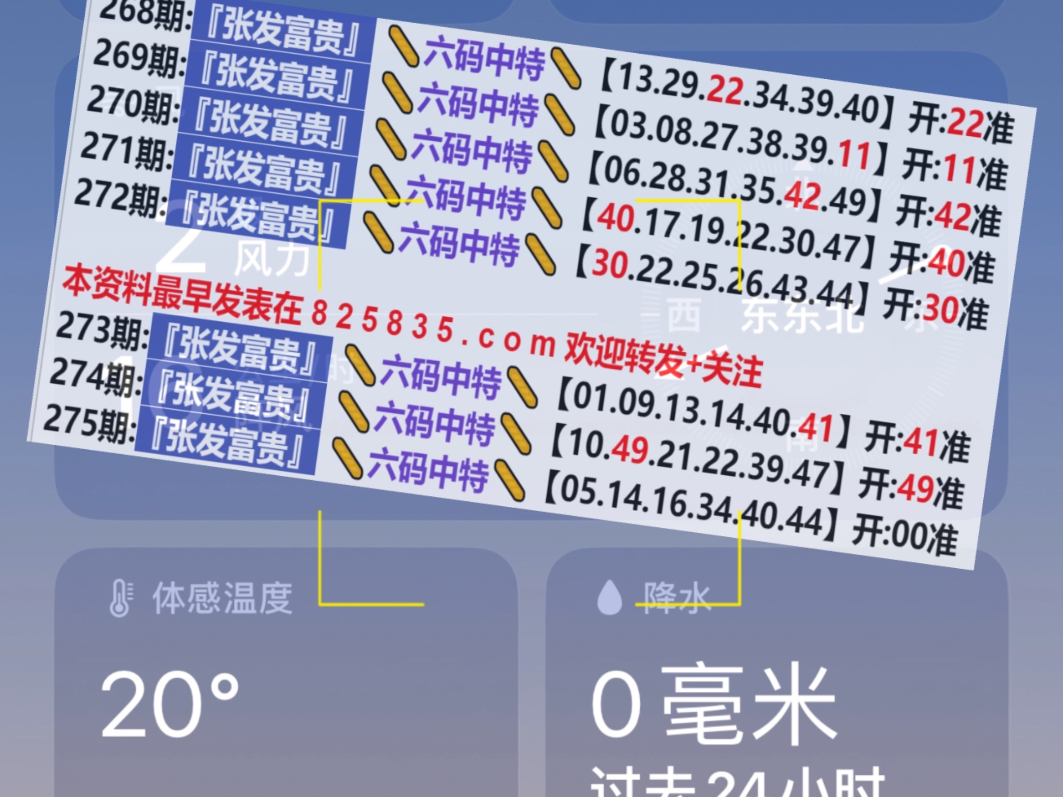 2024新奥门天天开好彩大全85期,探索新奥门天天开好彩，85期精彩瞬间回顾与展望