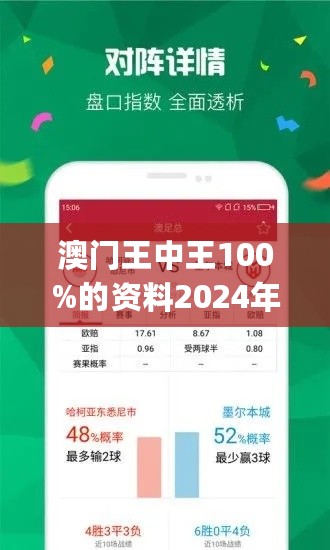 澳门王中王100%期期中一期,澳门王中王100%期期中一期，探索与揭秘