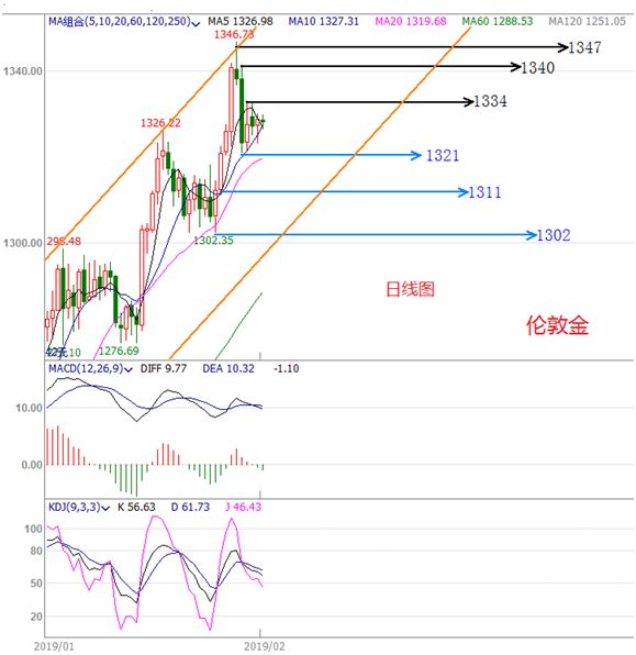 2024澳门今晚开特马开什么,澳门今晚特马开彩分析与预测，探寻幸运之门