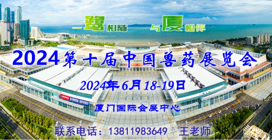 2024新澳门精准资材免费,探索未来，2024新澳门精准资材免费之路