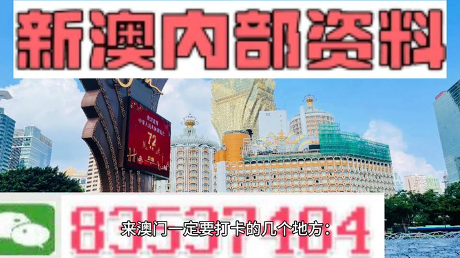 2024澳门精选免费资料,澳门精选资料，探索2024年免费资源的宝藏