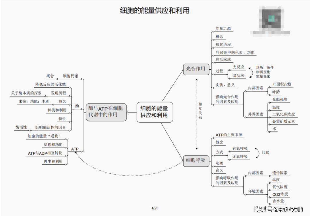 白小姐三肖三期必出一期开奖,白小姐三肖三期必出一期开奖——揭秘彩票神话与真实概率