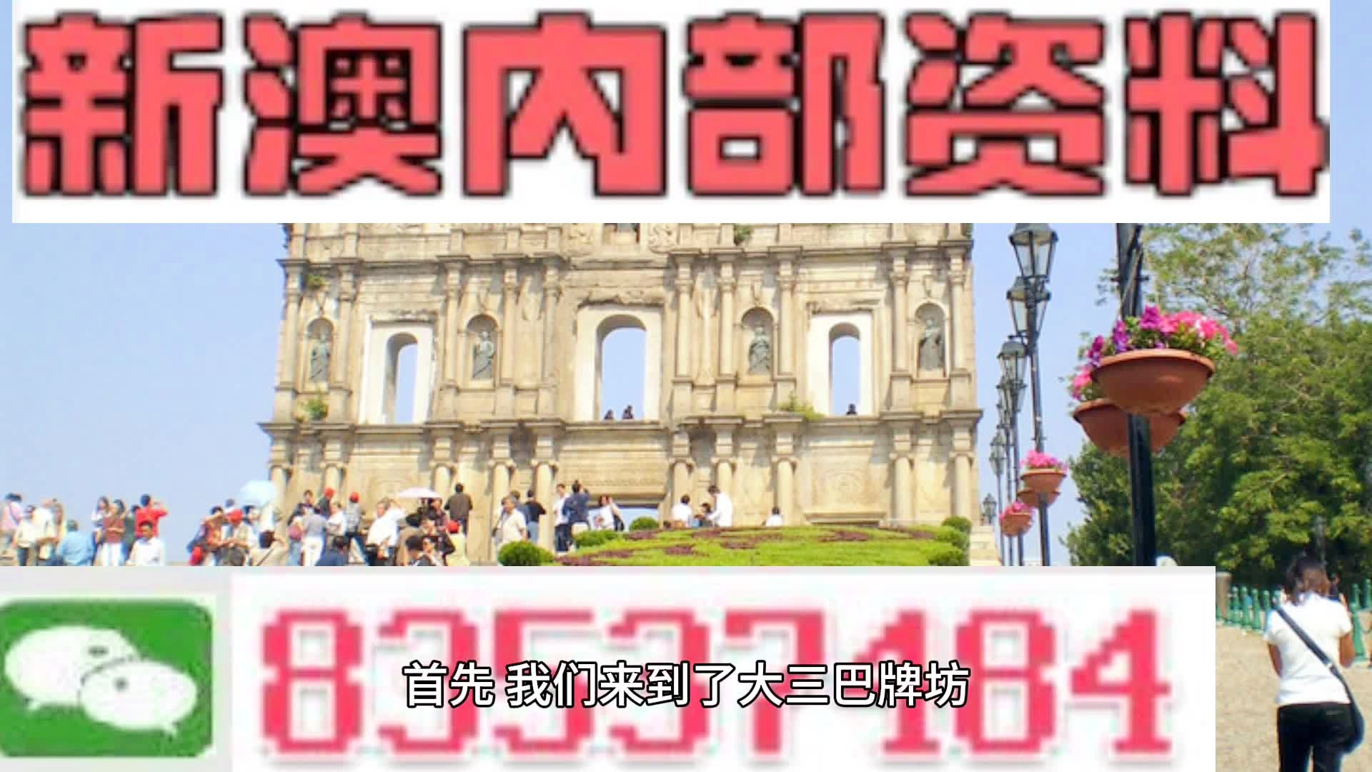 新澳2024年免费资料,新澳2024年免费资料概览