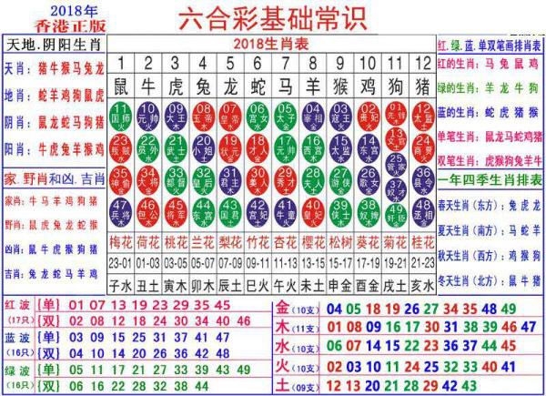 资讯 第51页