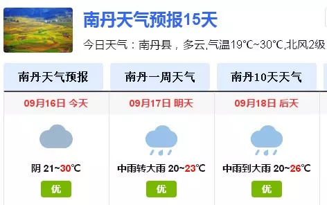 2025年1月22日 第50页